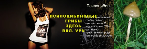 гидра Наволоки