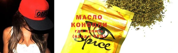 соль ск Надым