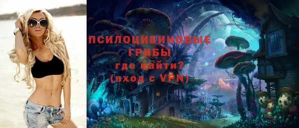 бошки Рославль