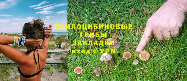 соль ск Надым