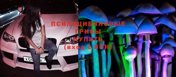 соль ск Надым