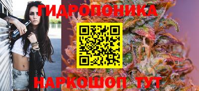 твердый Жуковский
