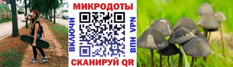где купить наркоту Минусинск Псилоцибиновые грибы MAGIC MUSHROOMS