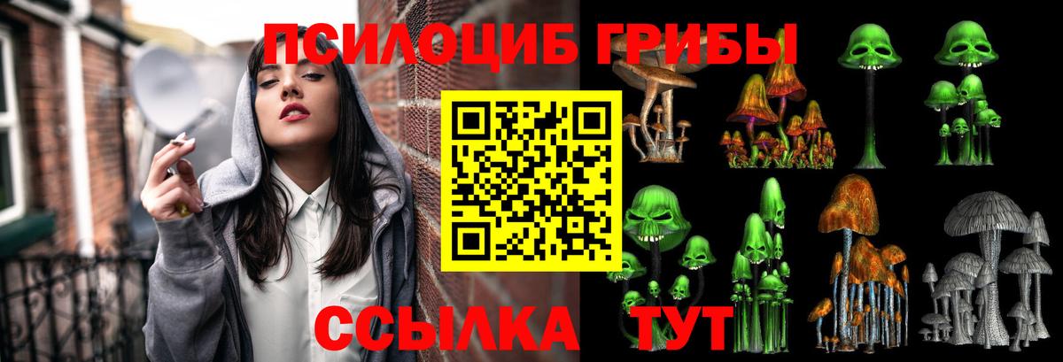 Псилоцибиновые грибы Psilocybe  Минусинск 